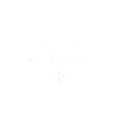 aplikacja internetowa dla dealerów samochodowych, platforma do zarządzania siecią salonów, projektowanie stron dla dealerów samochodowych, salony samochodowe integracja z otomoto